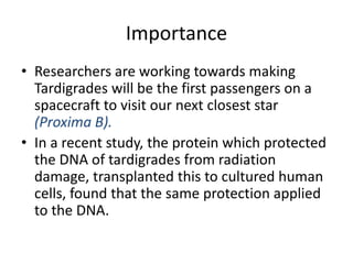 Importance
• Researchers are working towards making
Tardigrades will be the first passengers on a
spacecraft to visit our next closest star
(Proxima B).
• In a recent study, the protein which protected
the DNA of tardigrades from radiation
damage, transplanted this to cultured human
cells, found that the same protection applied
to the DNA.
 