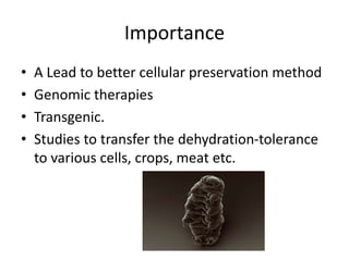 Importance
• A Lead to better cellular preservation method
• Genomic therapies
• Transgenic.
• Studies to transfer the dehydration-tolerance
to various cells, crops, meat etc.
 