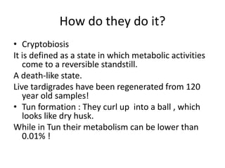 How do they do it?
• Cryptobiosis
It is defined as a state in which metabolic activities
come to a reversible standstill.
A death-like state.
Live tardigrades have been regenerated from 120
year old samples!
• Tun formation : They curl up into a ball , which
looks like dry husk.
While in Tun their metabolism can be lower than
0.01% !
 