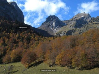 coll deth Hòro fageda a l’Artiga de Lin 