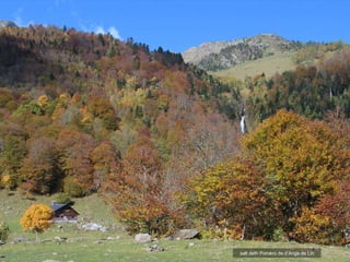 salt deth Pomèro de d’Ariga de Lin 