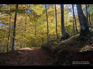collet del turó de l’Home Mort  (Sant Joan de les Abadesses) 