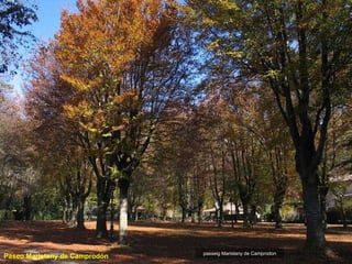passeig Maristany de Camprodon Paseo Maristany de Camprodón 