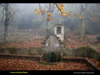 font de Sant Patllari (Camprodon) Fuente de Sant Pallarí 
