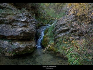 torrent del salt del Boter (Valldarques) 