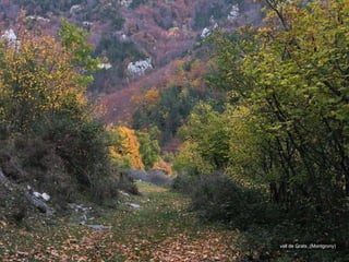 vall de Grats  (Montgrony) 