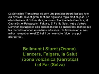 La Serralada Transversal és com una pantalla orogràfica que reté els aires del llevant gironí fent que sigui una regió molt plujosa. En ella hi trobem el Collsacabra, la zona volcànica de la Garrotxa, el Cabrarès, el Puigsacalm, Falgars, El Fa i la Salut, netre d’altres. Dominen les fagedes i els boscos mixtos de caducifolis, mentre que les rouredes ocupen els indrets més secs. Els trobareu en el seu millor moment entre el 20 i el 1 de novembre (algun any pot allargar-se). Bellmunt i Siuret (Osona)  Llancers, Falgars, la Salut i zona volcànica (Garrotxa) i el Far (Selva) 
