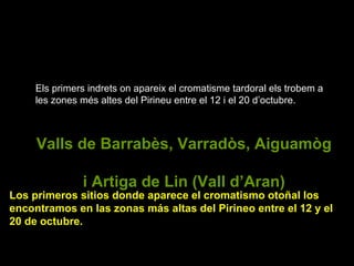 Els primers indrets on apareix el cromatisme tardoral els trobem a les zones més altes del Pirineu entre el 12 i el 20 d’octubre. Valls de Barrabès, Varradòs, Aiguamòg  i Artiga de Lin (Vall d’Aran) Los primeros sitios donde aparece el cromatismo otoñal los encontramos en las zonas más altas del Pirineo entre el 12 y el 20 de octubre. 