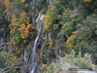 salt de la Coromina (Falgars) 