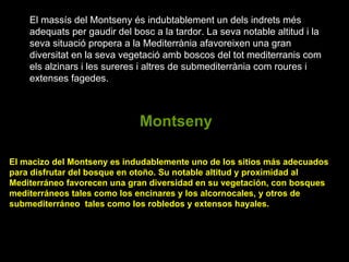El massís del Montseny és indubtablement un dels indrets més adequats per gaudir del bosc a la tardor. La seva notable altitud i la seva situació propera a la Mediterrània afavoreixen una gran diversitat en la seva vegetació amb boscos del tot mediterranis com els alzinars i les sureres i altres de submediterrània com roures i extenses fagedes. Montseny El macizo del Montseny es indudablemente uno de los sitios más adecuados  para disfrutar del bosque en otoño. Su notable altitud y proximidad al  Mediterráneo favorecen una gran diversidad en su vegetación, con bosques mediterráneos tales como los encinares y los alcornocales, y otros de submediterráneo  tales como los robledos y extensos hayales. 