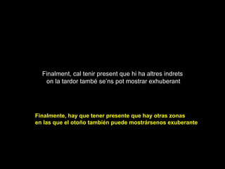 Finalment, cal tenir present que hi ha altres indrets  on la tardor també se’ns pot mostrar exhuberant Finalmente, hay que tener presente que hay otras zonas  en las que el otoño también puede mostrársenos exuberante Finalmente, hay que tener presente 