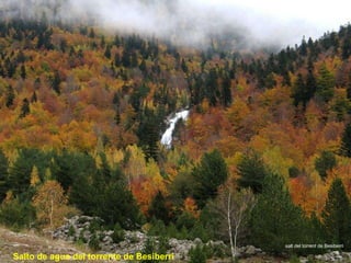 salt del torrent de Besiberri Salto de agua del torrente de Besiberri 