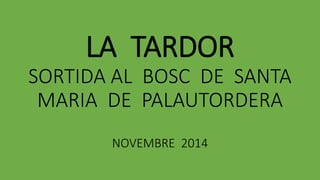 LA TARDOR 
SORTIDA AL BOSC DE SANTA 
MARIA DE PALAUTORDERA 
NOVEMBRE 2014 
 