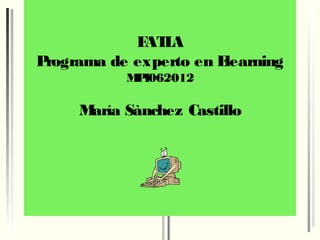 F L
             AT A
Programa de experto en Elearning
           M I062012
            P

     María Sànchez Castillo
 