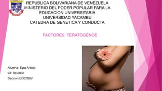 REPUBLICA BOLIVARIANA DE VENEZUELA
MINISTERIO DEL PODER POPULAR PARA LA
EDUCACION UNIVERSITARIA
UNIVERSIDAD YACAMBU
CATEDRA DE GENETICA Y CONDUCTA
FACTORES TERATOGENOS
Alumna: Eyra Araujo
CI: 7832803
Seccion:ED02D0V
 