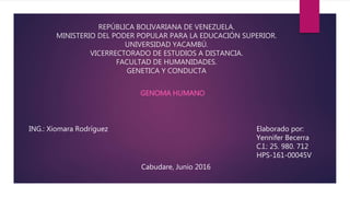 REPÚBLICA BOLIVARIANA DE VENEZUELA.
MINISTERIO DEL PODER POPULAR PARA LA EDUCACIÓN SUPERIOR.
UNIVERSIDAD YACAMBÚ.
VICERRECTORADO DE ESTUDIOS A DISTANCIA.
FACULTAD DE HUMANIDADES.
GENETICA Y CONDUCTA
GENOMA HUMANO
Elaborado por:
Yennifer Becerra
C.I.: 25. 980. 712
HPS-161-00045V
Cabudare, Junio 2016
ING.: Xiomara Rodríguez
 