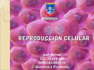 REPRODUCCIÓN CELULARREPRODUCCIÓN CELULAR
Jean Bernal
C.I.: 18.654.360
HPS-162-00211V
Genética y Conducta
 