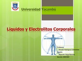 Profesora:
Xiomara Rodríguez Colmenárez
Alumno:
Alejandro Varga Ramírez
Sección: ED01D0V
 