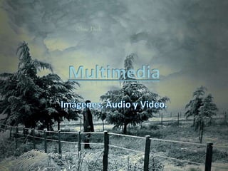 Multimedia Imágenes, Audio y Video. 