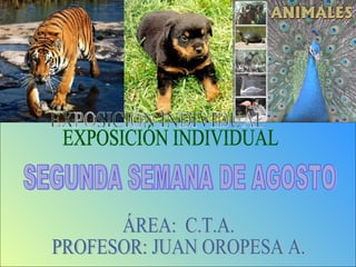 EXPOSICIÓN INDIVIDUAL SEGUNDA SEMANA DE AGOSTO ÁREA:  C.T.A. PROFESOR: JUAN OROPESA A. 