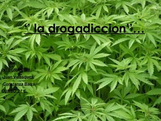 ‘’  la drogadiccion’’… INTEGRANTES: -Juan Velásquez. -Constanza Barra. CURSO:2 º C. 