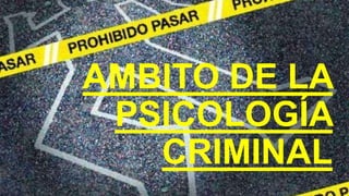 AMBITO DE LA
PSICOLOGÍA
CRIMINAL
 