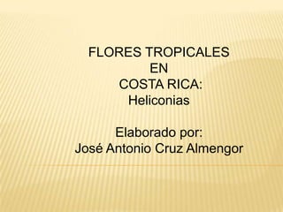 FLORES TROPICALES
EN
COSTA RICA:
Heliconias

Elaborado por:
José Antonio Cruz Almengor

 