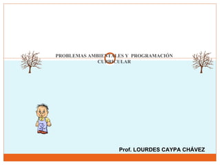 PROBLEMAS AMBIENTALES Y  PROGRAMACIÓN CURRICULAR Prof. LOURDES CAYPA CHÁVEZ 