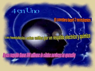 4 en Uno El cerebro tiene 2 emisferios Los hemisferios estan unidos por un respaldo electrico y quimico En ese respaldo tienen 300 millones de cèlulas nerviosas en operaciòn  