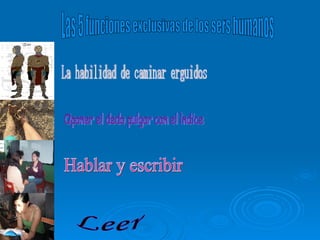 Las 5 funciones exclusivas de los sers humanos La habilidad de caminar erguidos Oponer el dedo pulgar con el ìndice Hablar y escribir Leer 