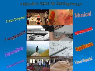 *Muchos tipos de Inteligencia* Fisica/Corporal Naturalista Logica/Matematica Lingûistica Musical Intrapersonal INterpersonal Visual /Espacial 