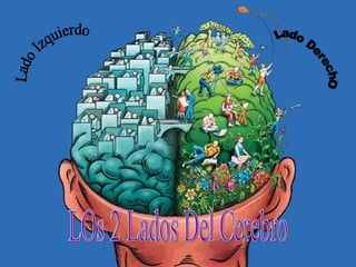 Lado Izquierdo Lado DerechO LOs 2 Lados Del Cerebro 