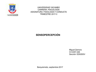 UNIVERSIDAD YACAMBÚ
CARRERA: PSICOLOGÍA
ASIGNATURA: FISIOLOGÍA Y CONDUCTA
TRIMESTRE 2017-3
SENSOPERCEPCIÓN
Miguel Zamora
CI 8.857.246
Sección: ED02D0V
Barquisimeto, septiembre 2017
1
 