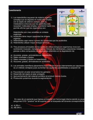 WebQuest- CoMatFis – Proyectos Multimediales               Esp. Jairo Segundo Inagan Rodriguez

Cuestionario


  1) Los heterótrofos requieren de materia organica
     compleja que se degrada en moléculas simples,
     con el objeto de obtener energía, para su
     metabolismo entonces que los autótrofos solo
     necesitan moléculas simples. Lo anterior razón nos
     permite afirmar que los organismos son:

  a) Heterótrofos son mas versátiles en síntesis
     orgánicas
  b) Autótrofos tiene mayor capacidad de síntesis
     organica
  c) Heterótrofos usan menor numero de sustancias que los autótrofos
  d) Heterótrofos utilizan mayor energía lumínica

  2) Tres procesos principales en los cuales se utiliza energía en organismos vivos son:
     contracción muscular, transporte activo. Atreves de membranas y reacciones metabólicas
     gracias a altos compuestos de alta energía obtenidos en la degradación de:

  a)   Azucares, grasas, aminoácidos en heterótrofos.
  b)   Sales minerales y lípidos.
  c)   Sales minerales y lípidos en heterótrofos.
  d)   Azucares, grasas, aminoácidos en autótrofos.

  3) Los animales mamíferos placentarios fecundan los huevos internamente por capulacion, este
     es un método ventajoso pues aumentan las siguientes posibilidades a acepción de:

  a)   Fecundación al estar encerrados los gametos
  b)   Desarrollo del zigoto al estar protegido
  c)   Aprovechamiento del material somático al producir menos óvulos.
  d)   Producción proteínica durante la segmentación




  4)    En caso de un paciente que ingresa al hospital con hemorragia interna siendo su grupo
       sanguíneo O R+ “positivo” es de suponer que la búsqueda del donante correspondiente a:

   a) A (Rh+)
   b) AB (Rh+)


Mg. Arnovia M. Gomez B. – Esp. Jairo S. Inagan R. - 2009                                   3
 