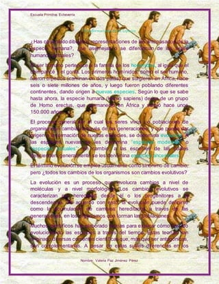 Escuela Primitiva Echeverría
Nombre: Valeria Paz Jiménez Pérez
1
Transformaciones de las Especies
¿Has observado dibujos o representaciones de los antepasados de la
especie humana?, ¿se asemejan o se diferencian de los seres
humanos actuales?
El ser humano pertenece a la familia de los homínidos, al igual que el
chimpancé y el gorila. Los primeros homínidos, como el ser humano,
fueron bípedos (caminan en dos patas) que surgieron en África, hace
seis o siete millones de años, y luego fueron poblando diferentes
continentes, dando origen a nuevas especies. Según lo que se sabe
hasta ahora, la especie humana (Homo sapiens) deriva de un grupo
de Homo erectus, que permaneció en África y surgió hace unos
150.000 años.
El proceso general por el cual los seres vivos –o poblaciones de
organismos– cambian a través de las generaciones, y que puede dar
origen a la formación de nuevas especies, se denomina evolución. A
las especies nuevas se les denomina “especies modernas” o
“especies actuales”; en cambio, a las especies de las cuales
descienden, generalmente se les denomina especies ancestrales.
El término evolución se emplea usualmente como sinónimo de cambio,
pero ¿todos los cambios de los organismos son cambios evolutivos?
La evolución es un proceso que involucra cambios a nivel de
moléculas y a nivel morfológico. Los cambios evolutivos se
caracterizan por heredarse desde él o los progenitores a la
descendencia. De acuerdo con esto, la evolución puede definirse
como la acumulación de cambios hereditarios a través de las
generaciones, en los organismos que forman las poblaciones.
Muchos científicos han elaborado teorías para explicar cómo han ido
evolucionando las especies a través del tiempo. Estas teorías han
originado diversas corrientes científicas que, más que ser antagónicas,
son complementarias. A pesar de estas sutiles diferencias en los
 