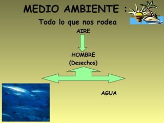 MEDIO AMBIENTE :
Todo lo que nos rodea
AIRE
HOMBRE
(Desechos)
SUELO
AGUA
 