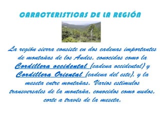 CARACTERISTICAS DE LA REGIÓN
La región sierra consiste en dos cadenas importantes
de montañas de los Andes, conocidas como la
Cordillera occidental (cadena occidental) y
Cordillera Oriental (cadena del este), y la
meseta entre montañas. Varios estímulos
transversales de la montaña, conocidos como nudos,
corte a través de la meseta.