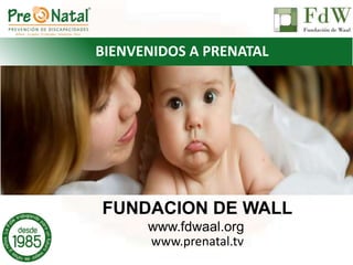 FUNDACION DE WALL
www.fdwaal.org
www.prenatal.tv
BIENVENIDOS A PRENATAL
 