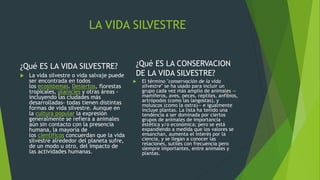 LA VIDA SILVESTRE
¿Qué ES LA VIDA SILVESTRE?
 La vida silvestre o vida salvaje puede
ser encontrada en todos
los ecosistemas. Desiertos, florestas
tropicales, planicies y otras áreas -
incluyendo las ciudades más
desarrolladas- todas tienen distintas
formas de vida silvestre. Aunque en
la cultura popular la expresión
generalmente se refiera a animales
aún sin contacto con la presencia
humana, la mayoría de
los científicos concuerdan que la vida
silvestre alrededor del planeta sufre,
de un modo u otro, del impacto de
las actividades humanas.
¿Qué ES LA CONSERVACION
DE LA VIDA SILVESTRE?
 El término "conservación de la vida
silvestre" se ha usado para incluir un
grupo cada vez más amplio de animales —
mamíferos, aves, peces, reptiles, anfibios,
artrópodos (como las langostas), y
moluscos (como la ostra)— e igualmente
incluye plantas. La lista ha tenido una
tendencia a ser dominada por ciertos
grupos de animales de importancia
estética y/o económica; pero se está
expandiendo a medida que los valores se
ensanchan, aumenta el interés por la
ciencia, y se llegan a conocer las
relaciones, sutiles con frecuencia pero
siempre importantes, entre animales y
plantas.
 