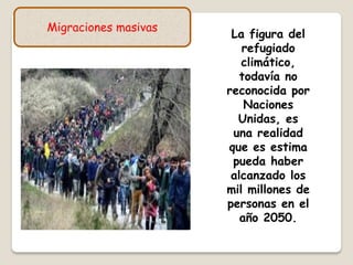 Migraciones masivas
La figura del
refugiado
climático,
todavía no
reconocida por
Naciones
Unidas, es
una realidad
que es estima
pueda haber
alcanzado los
mil millones de
personas en el
año 2050.
 