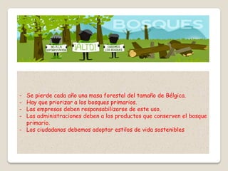 - Se pierde cada año una masa forestal del tamaño de Bélgica.
- Hay que priorizar a los bosques primarios.
- Las empresas deben responsabilizarse de este uso.
- Las administraciones deben a los productos que conserven el bosque
primario.
- Los ciudadanos debemos adoptar estilos de vida sostenibles
 