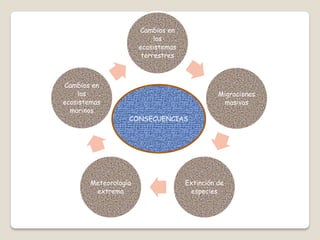 Cambios en
los
ecosistemas
terrestres
Migraciones
masivas
Extinción de
especies
Meteorología
extrema
Cambios en
los
ecosistemas
marinos
CONSECUENCIAS
 