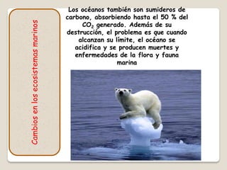Los océanos también son sumideros de
carbono, absorbiendo hasta el 50 % del
CO2 generado. Además de su
destrucción, el problema es que cuando
alcanzan su límite, el océano se
acidifica y se producen muertes y
enfermedades de la flora y fauna
marina
Cambiosenlosecosistemasmarinos
 