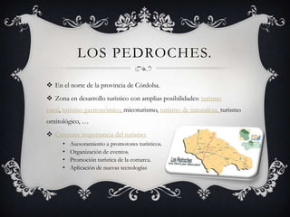 LOS PEDROCHES.

 En el norte de la provincia de Córdoba.
 Zona en desarrollo turístico con amplias posibilidades: turismo
rural, turismo gastronómico, micoturismo, turismo de naturaleza, turismo
ornitológico, …
 Creciente importancia del turismo:
      •   Asesoramiento a promotores turísticos.
      •   Organización de eventos.
      •   Promoción turística de la comarca.
      •   Aplicación de nuevas tecnologías
 