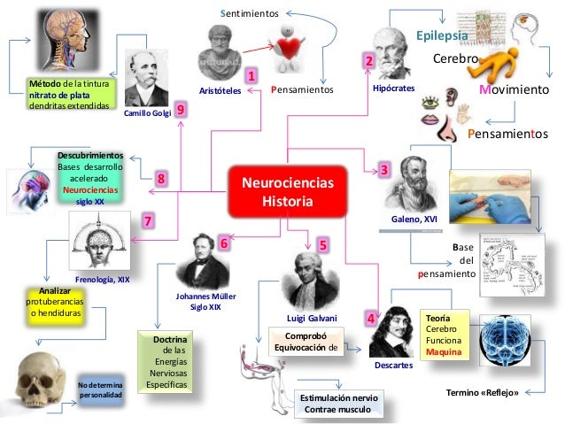 Tarea 1 Mapa mental. Fundamentos de Neurociencias minerva