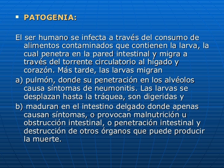 alimentos que provocan migra a geohelmintos alimentos que provocan migra a geohelmintos