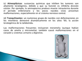 (c) Atineoplásicos: sustancias químicas que inhiben los tumores son
altamente teratógenos, debido a que su función es inhibirla división
celular. Por ejemplo, la aminopterina produce muerte intrauterina durante
el período embrionario y los pocos nacidos vivos presentan
malformaciones, especialmente en el sistema nervioso central.
(d) Tranquilizantes: un numeroso grupo de nacidos con deformaciones en
los miembros demostró dramáticamente en los años '60, la acción
teratogénica de la talidomida.
Las malformaciones frecuentes incluyeron meromelia (aunque habían
casos de amelia y micromelia); también causó malformaciones en el
corazón y sistemas urinario y digestivo.
 