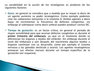 La variabilidad en la acción de los teratógenos es producto de los
siguientes factores:
 Dosis: en general se considera que a medida que es mayor la dosis de
un agente aumenta su poder teratogénico. Como ejemplo podemos
citar las radiaciones ionizantes o la vitamina A. Ambos agentes a dosis
bajas no incrementan la frecuencia de defectos congénitos, sin
embargo al sobrepasar cierta dosis umbral pueden producir ciertos DC.
 Tiempo de gestación: es un factor crítico, en general el período de
mayor sensibilidad para que ocurran defectos congénitos es durante el
primer trimestre del embarazo, ya que es el momento donde se
diferencian los órganos y tejidos del embrión. Sin embargo durante el
resto del embarazo y aún después del nacimiento algunos tejidos u
órganos continúan con su desarrollo, como por ejemplo el sistema
nervioso y las gónadas (testículo y ovario). Los agentes teratogénicos
provocan sus efectos nocivos durante un tiempo específico de la
gestación (ver esquema).
 