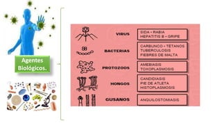 Agentes
Biológicos.
 