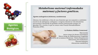 Agentes
Biológicos.
 